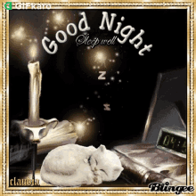 Good Night Sleep Well Gifkaro GIF - Good Night Sleep Well Gifkaro Cat GIFs