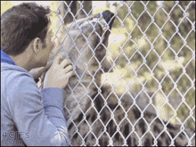 Hyena Pet GIF - Hyena Pet Pattting GIFs
