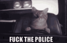 Police Cat GIF