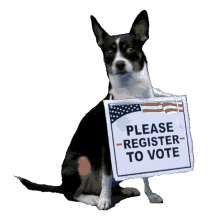 epsteinj halive2022 please register to vote register to vote voter registration