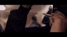 Put In A Pack Smoking On This Pack GIF - Put In A Pack Smoking On This Pack E1 GIFs