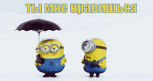 зонтик друзья ты мне нравишься не грусти миньоны GIF - Umbrella Minions I Like You GIFs