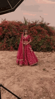 Bride Indian Bride GIF - Bride Indian Bride Photoshoot GIFs