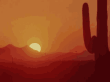 Sunny GIF - Dry Driedout Desert GIFs