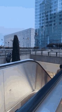 an escalator going up to a building with a tree in front of it