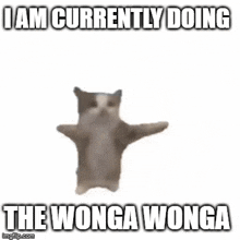 The Wonga Wonga GIF - The Wonga Wonga GIFs