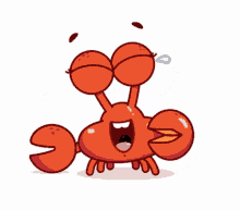 lol crab snappy funny fun