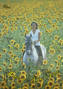 Szép Napot Horse GIF - Szép Napot Horse Sunflower GIFs
