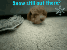 Snowed In GIF - Snowed In Snow GIFs