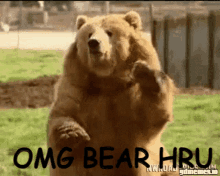 Bear Hru GIF - Bear Hru GIFs