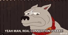 Yeah Man Real Connection Is Rare I Get It GIF - Yeah Man Real Connection Is Rare Yeah Man I Get It GIFs