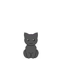 Pokemon Pokeball GIF - Pokemon Pokeball Cat GIFs