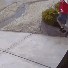 GIF