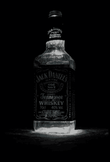 jack daniels whiskey drinking