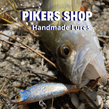 Pikersshop Fish GIF - Pikersshop Pikers Shop GIFs