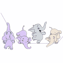 elephants tightrope
