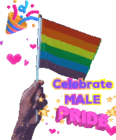 a hand holding a rainbow flag with the words " celebrate male pride " above it