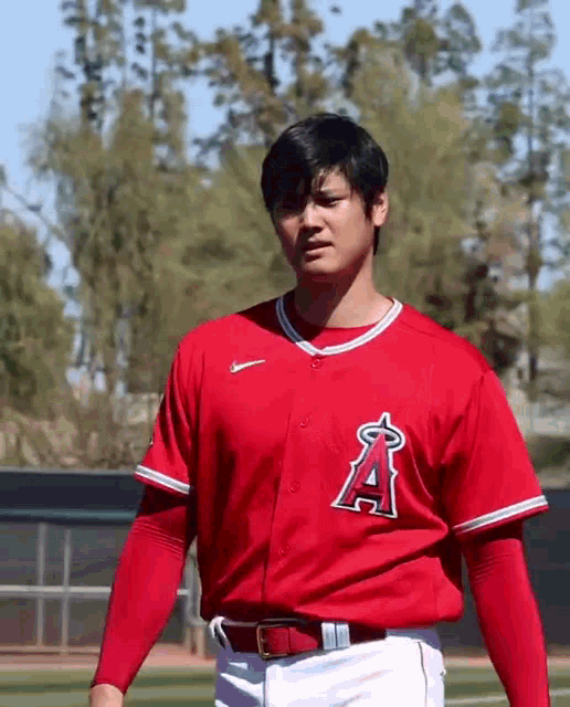 Shohei Ohtani Mlb GIF - Shohei Ohtani Shohei Ohtani - Discover & Share GIFs
