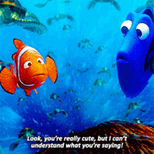 Finding Nemo What Youre Saying GIF