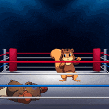 a cartoon of a squirrel in a boxing ring with the word bear on the bottom