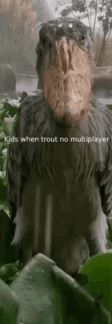 Trout Multiplayer GIF - Trout Multiplayer Kids GIFs
