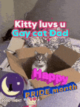a cat is sitting in a cardboard box with the words " kitty luvs u gay cat dad " above it