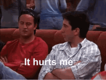Friends It Hurts Me GIF - Friends It Hurts Me Physically Hurts Me GIFs