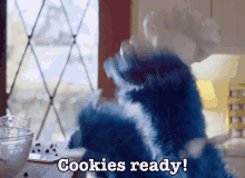 sesame street cookie monster cookies cookies ready cookie day