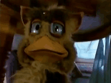 a close up of a stuffed animal with a bird 's beak and blue eyes .