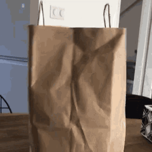 Brownbag GIF - Brownbag Bag GIFs