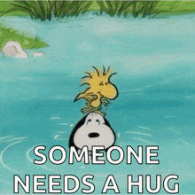 a cartoon of snoopy and woodstock in the water with the words someone needs a hug below them