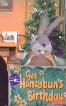 Bunny Hops GIF - Bunny Hops GIFs