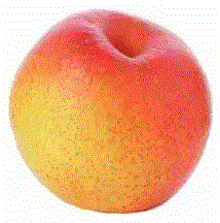 Papple GIF - Papple GIFs