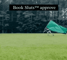 a blurred image of a person holding a green flag with the words book sluts approve above them