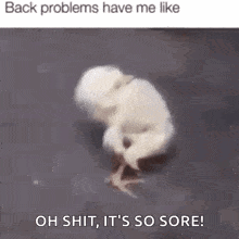 Back Hurts Back Pain GIF - Back Hurts Back Pain Stretching Out GIFs