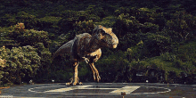 Jurassic World T Rex GIF - Jurassic World T Rex Rexy GIFs
