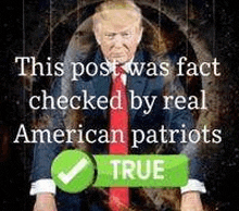 This Post Was Fact Checked By Real American Patriots True GIF - This Post Was Fact Checked By Real American Patriots True GIFs