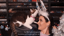 Cat Smell GIF - Cat Smell Holiday GIFs