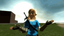 Link Shrug Zelda GIF - Link Shrug Zelda Who Knows GIFs