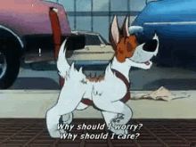 Why Should I Worry? GIF