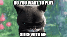 Eternals Siege Do You Want To Play Siege GIF - Eternals Siege Do You Want To Play Siege Cat Siege GIFs