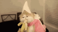 Cat Eating GIF - Cat Eating Banana GIFs
