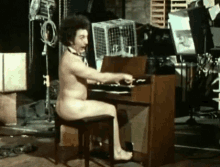 organ organist naked terry jones
