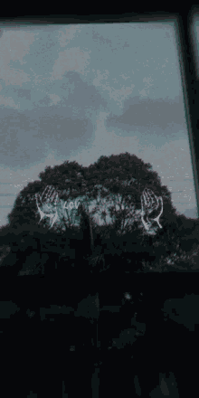 a picture of a tree with a hand drawn on it
