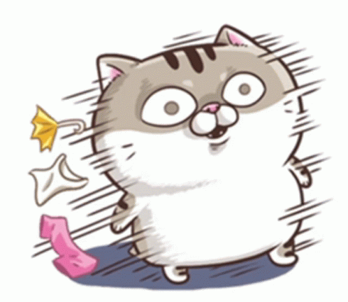 "Ami Fat Cat Cute Sticker" – "Ami Fat Cat Cute Chubby" – знаходьте