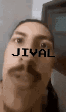 Jival Jivao GIF - Jival Jivao Jivolho GIFs