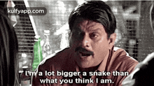 I'M A Lot Bigger A Snake Thanwhat You Think I Am..Gif GIF
