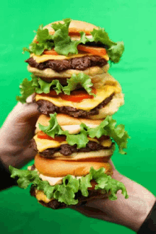 Salad Burger GIF - Salad Burger Lunch GIFs