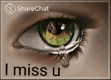 I Miss U आँसू GIF - I Miss U आँसू रोना GIFs