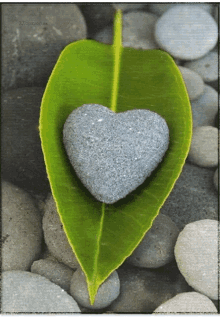 Stone Heart GIF - Stone Heart Leaf GIFs